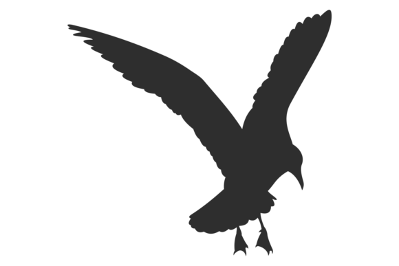 Aerial Animal Silhouette: The Bold Black Flying B Typeface