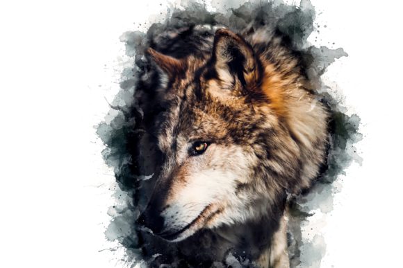 Animal Printables 300 Dpi Pack 05: Instant Wall Art