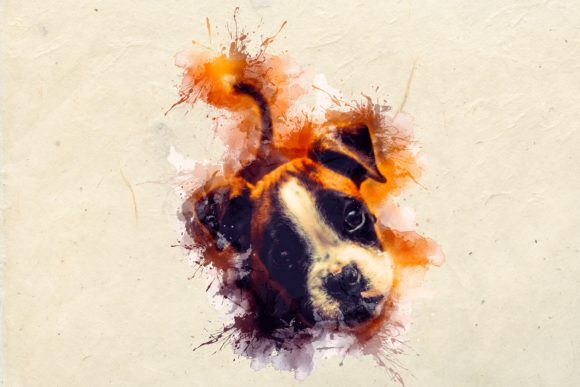 Animal Printables 300 Dpi Pack 09: Instant Wall Art