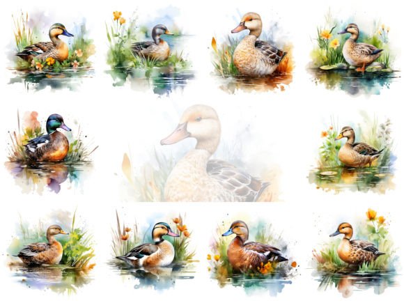 Charming Duck Watercolor Clipart: A Designer's Guide