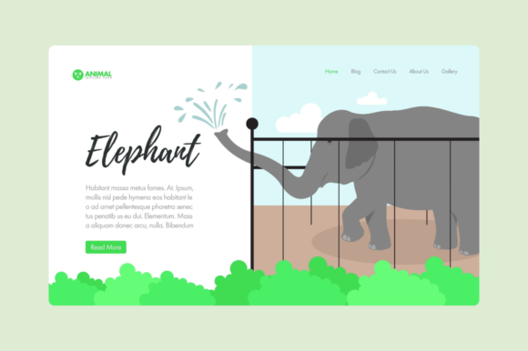 Why the Elephant Illustration is Your Next Go-To Design Asset